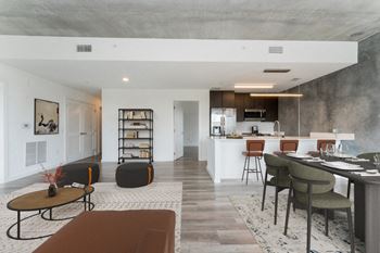 Living Room with Open Space Kithen at South Falls Tower, Richmond, Virginia